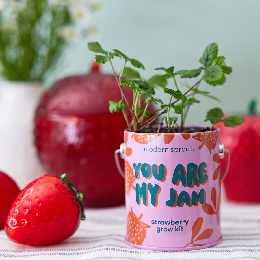 Compliment Grow Kits