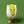 Load image into Gallery viewer, Jellycat Amuseables Horatio Pistachio
