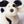 Load image into Gallery viewer, Bashful Black &amp; Cream Puppy
