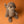 Load image into Gallery viewer, Jellycat Brooke Otter
