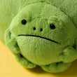 Load image into Gallery viewer, Jellycat Ricky Rain Frog Pouch
